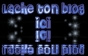 lache ton blog ici ok